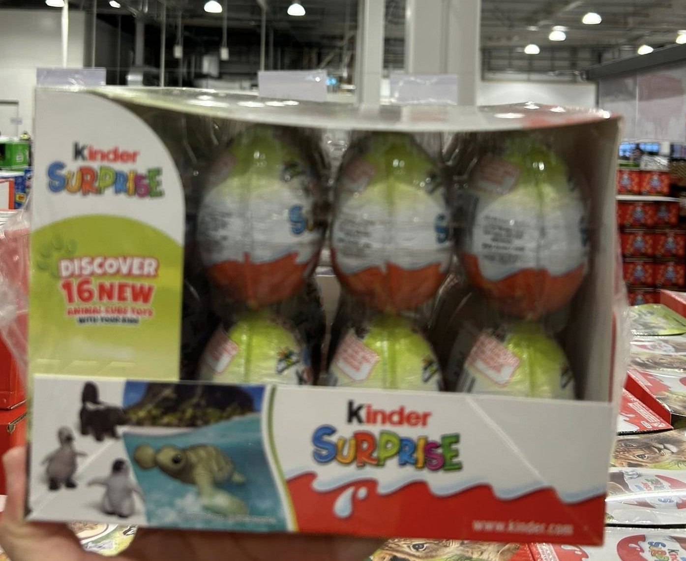 KINDER SURPRISE CLASSIC EGG 24 X 20G