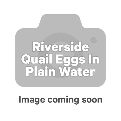Riverside Quail Eggs In Plain Water 425g