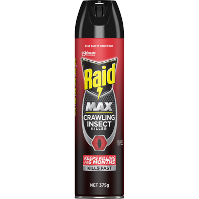 Raid Max Crawling Insect Killer 375g