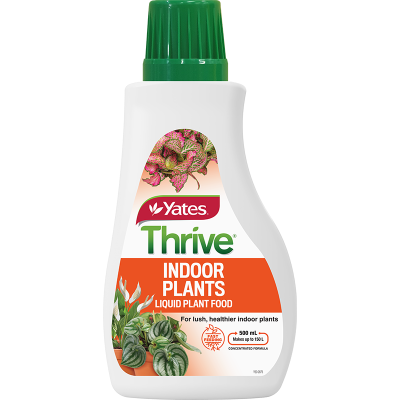 Yates Thrive Indoor Plants Liquid Plant Food ml