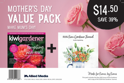 Mother's Day Value Magazine Pack 1pk