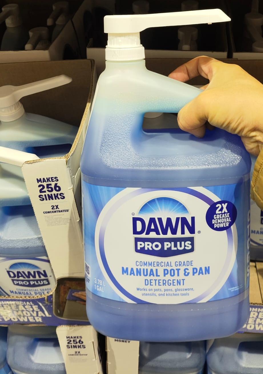 Dawn Professional Plus Hand Dish Wash with Pump 3.78L
